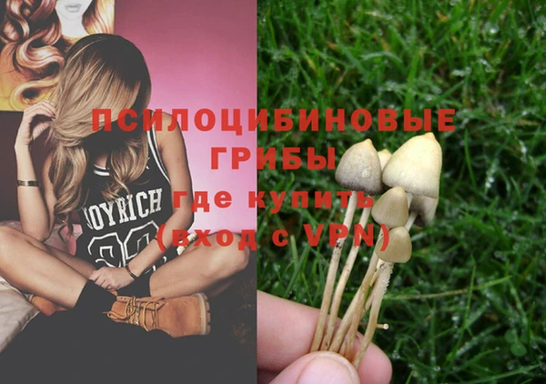 спайс Ладушкин