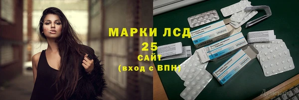спайс Ладушкин