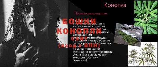 спайс Ладушкин