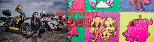 спайс Ладушкин