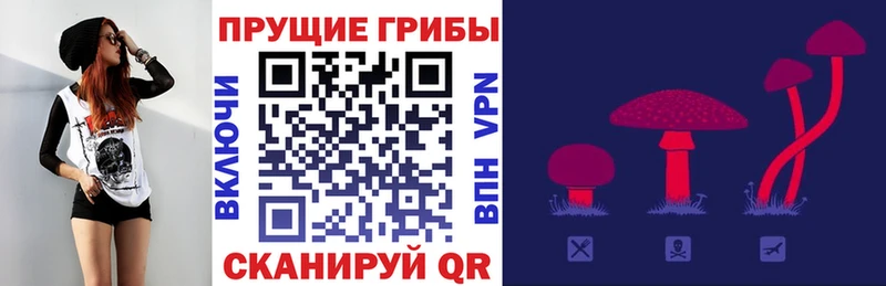 Псилоцибиновые грибы прущие грибы магазин наркотиков Фрязино