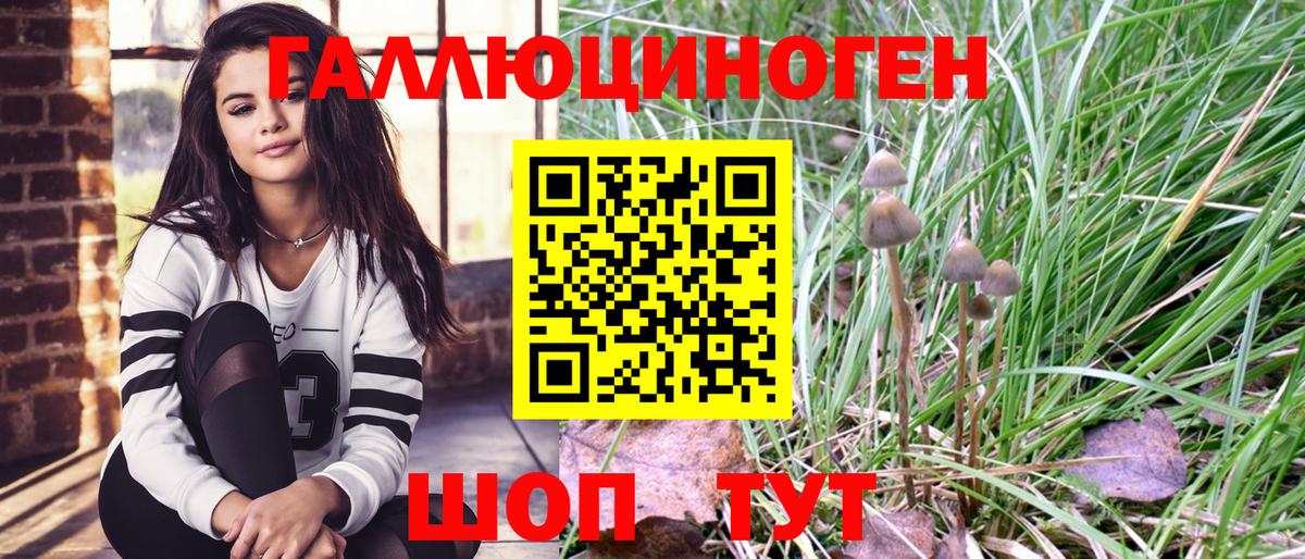 АМФ   Меф МЯУ МЯУ кристаллы  МЕТ  Фрязино  MDMA  КЕТАМИН  Канабис  Гашиш  Конопля  КОКАИН  A PVP СОЛЬ  