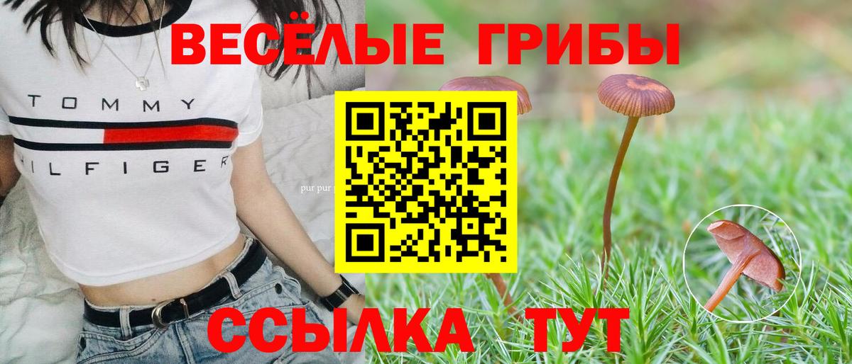 Псилоцибиновые грибы MAGIC MUSHROOMS  закладки  Фрязино  Псилоцибиновые грибы ЛСД 