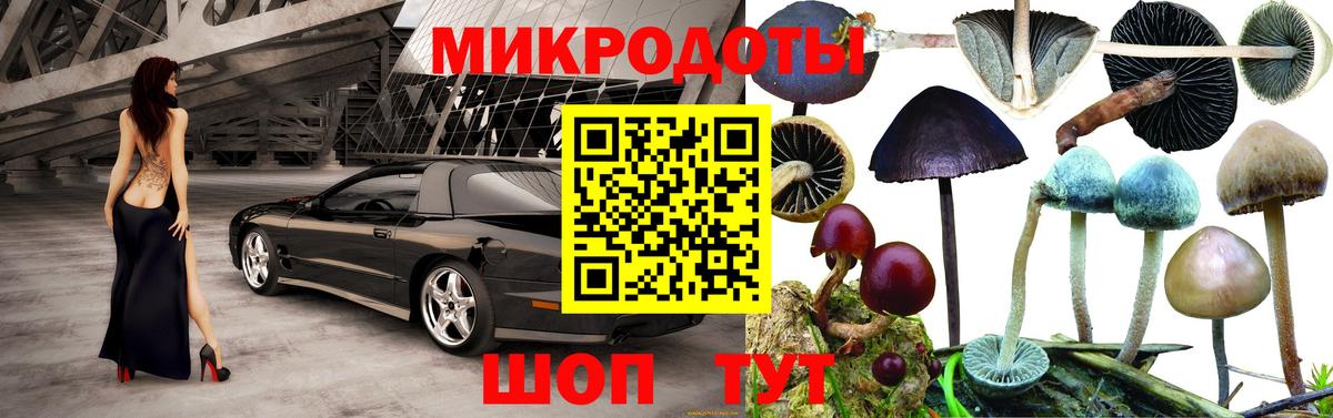 Галлюциногенные грибы Psilocybine cubensis Фрязино
