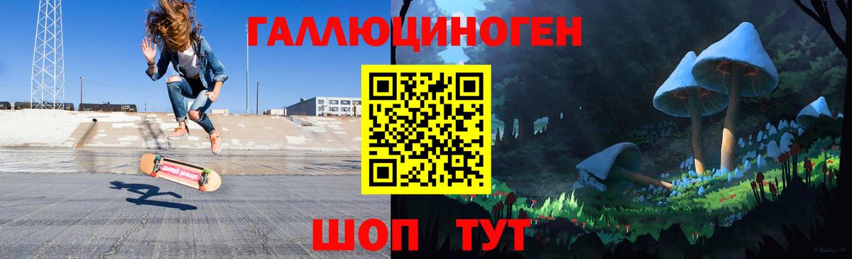 хочу наркоту  Псилоцибиновые грибы Psilocybe  Вход с VPN  Фрязино 